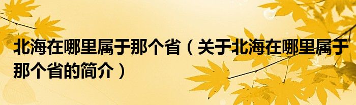 北海在哪里屬于那個(gè)?。P(guān)于北海在哪里屬于那個(gè)省的簡(jiǎn)介）