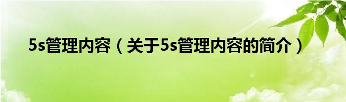 5s管理內(nèi)容（關(guān)于5s管理內(nèi)容的簡(jiǎn)介）