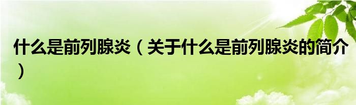 什么是前列腺炎（關(guān)于什么是前列腺炎的簡介）