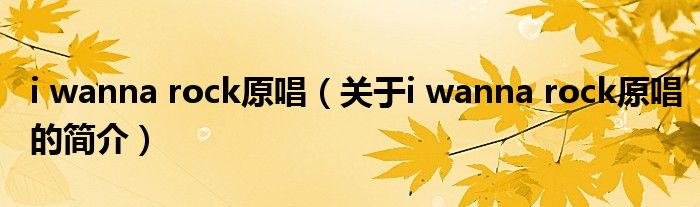 i wanna rock原唱（關(guān)于i wanna rock原唱的簡(jiǎn)介）