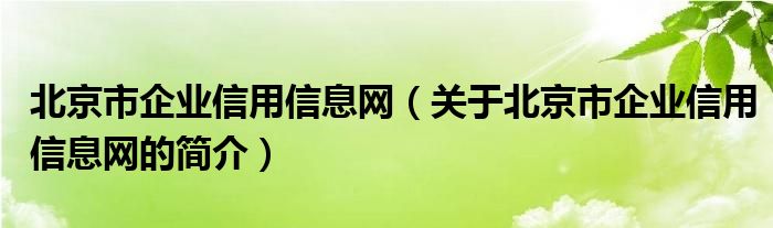 北京市企業(yè)信用信息網(wǎng)（關(guān)于北京市企業(yè)信用信息網(wǎng)的簡介）