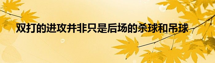 雙打的進攻并非只是后場的殺球和吊球