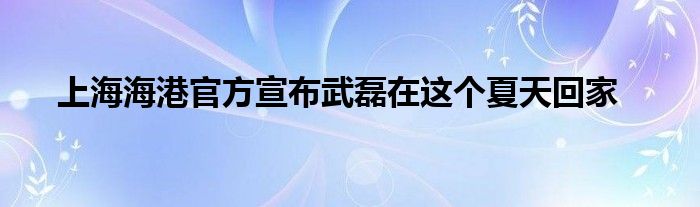  上海海港官方宣布武磊在這個夏天回家