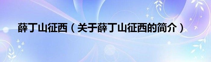 薛丁山征西（關(guān)于薛丁山征西的簡(jiǎn)介）