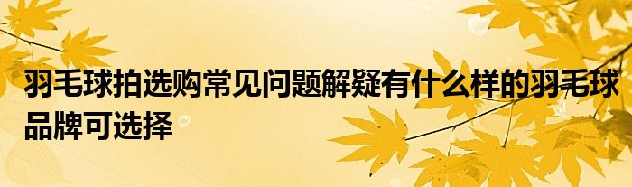 羽毛球拍選購常見問題解疑有什么樣的羽毛球品牌可選擇