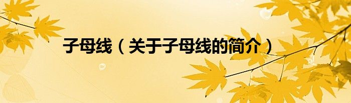 子母線（關(guān)于子母線的簡(jiǎn)介）