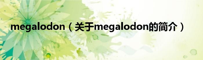 megalodon（關于megalodon的簡介）