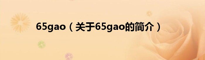 65gao（關(guān)于65gao的簡(jiǎn)介）