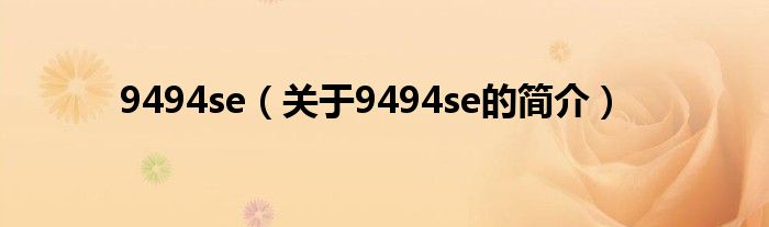 9494se（關(guān)于9494se的簡介）