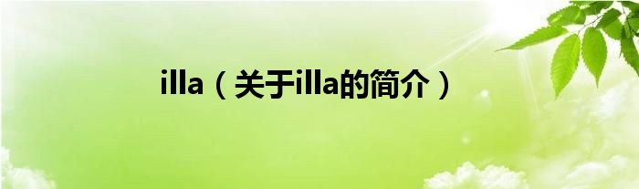 illa（關(guān)于illa的簡(jiǎn)介）