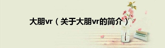 大朋vr（關于大朋vr的簡介）