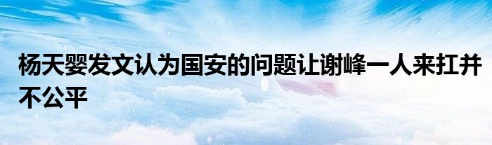 楊天嬰發(fā)文認(rèn)為國(guó)安的問題讓謝峰一人來扛并不公平