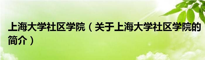 上海大學(xué)社區(qū)學(xué)院（關(guān)于上海大學(xué)社區(qū)學(xué)院的簡介）