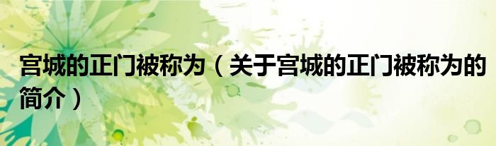 宮城的正門被稱為（關(guān)于宮城的正門被稱為的簡介）