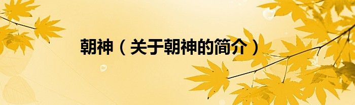 朝神（關(guān)于朝神的簡(jiǎn)介）