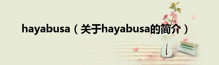 hayabusa（關(guān)于hayabusa的簡(jiǎn)介）