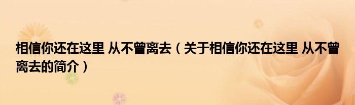 相信你還在這里 從不曾離去（關于相信你還在這里 從不曾離去的簡介）