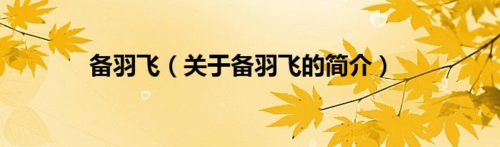 備羽飛（關(guān)于備羽飛的簡(jiǎn)介）