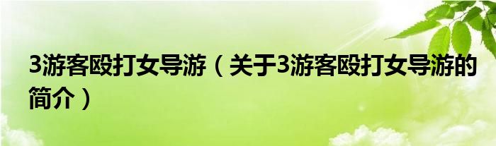 3游客毆打女導游（關于3游客毆打女導游的簡介）