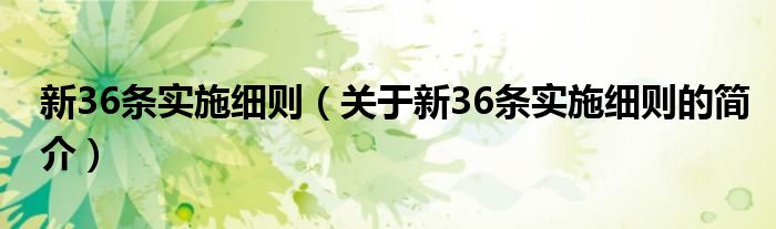 新36條實施細(xì)則（關(guān)于新36條實施細(xì)則的簡介）