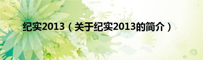 紀(jì)實(shí)2013（關(guān)于紀(jì)實(shí)2013的簡(jiǎn)介）