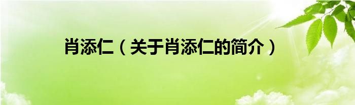 肖添仁（關(guān)于肖添仁的簡(jiǎn)介）