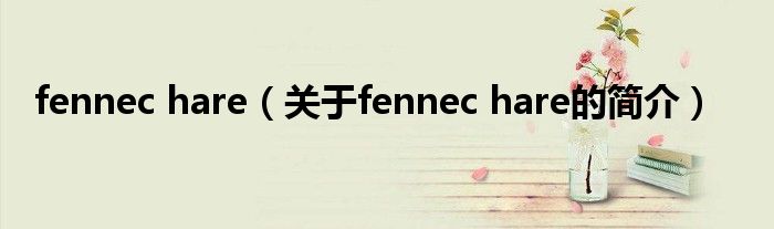 fennec hare（關于fennec hare的簡介）