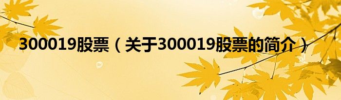 300019股票（關(guān)于300019股票的簡(jiǎn)介）