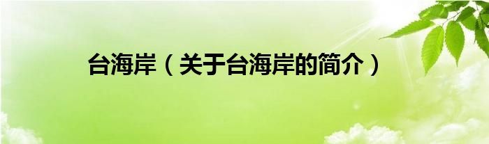 臺(tái)海岸（關(guān)于臺(tái)海岸的簡(jiǎn)介）