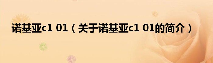 諾基亞c1 01（關(guān)于諾基亞c1 01的簡(jiǎn)介）