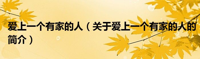 愛上一個有家的人（關(guān)于愛上一個有家的人的簡介）