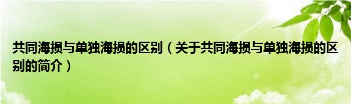 共同海損與單獨海損的區(qū)別（關于共同海損與單獨海損的區(qū)別的簡介）