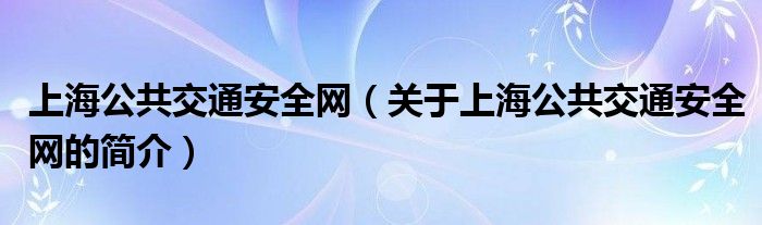 上海公共交通安全網(wǎng)（關(guān)于上海公共交通安全網(wǎng)的簡介）