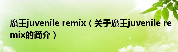 魔王juvenile remix（關于魔王juvenile remix的簡介）