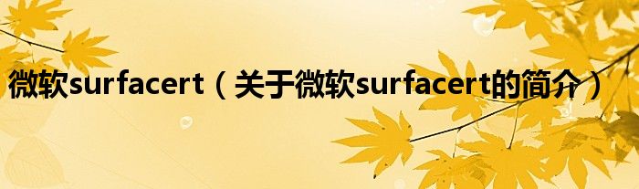 微軟surfacert（關(guān)于微軟surfacert的簡介）