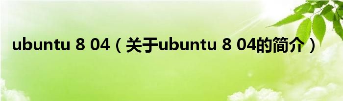 ubuntu 8 04（關(guān)于ubuntu 8 04的簡介）