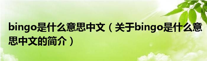 bingo是什么意思中文（關(guān)于bingo是什么意思中文的簡(jiǎn)介）