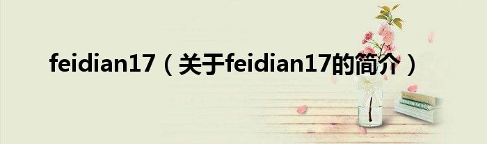 feidian17（關于feidian17的簡介）