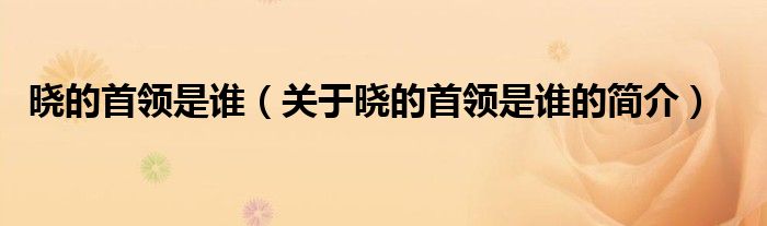 曉的首領(lǐng)是誰（關(guān)于曉的首領(lǐng)是誰的簡(jiǎn)介）