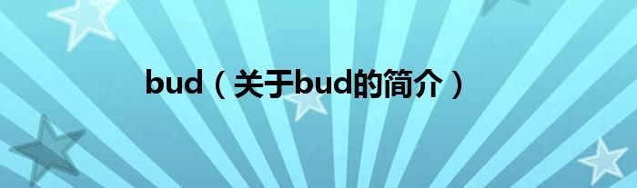 bud（關于bud的簡介）