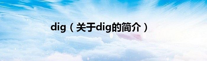 dig（關(guān)于dig的簡介）