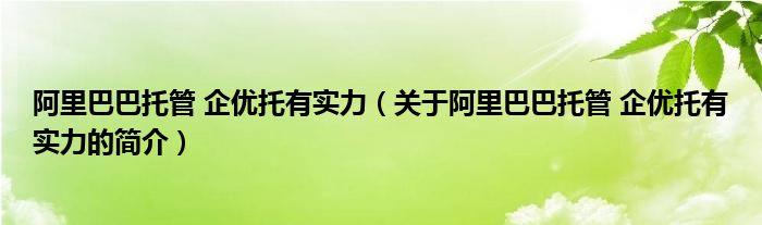 阿里巴巴托管 企優(yōu)托有實力（關于阿里巴巴托管 企優(yōu)托有實力的簡介）