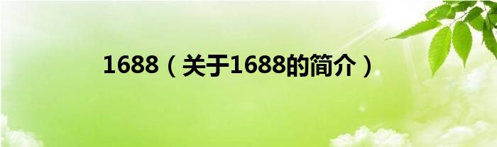 1688（關(guān)于1688的簡介）