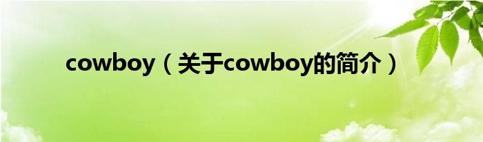 cowboy（關(guān)于cowboy的簡介）