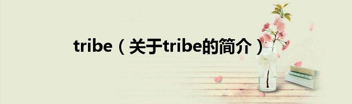 tribe（關(guān)于tribe的簡介）