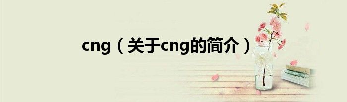 cng（關(guān)于cng的簡(jiǎn)介）