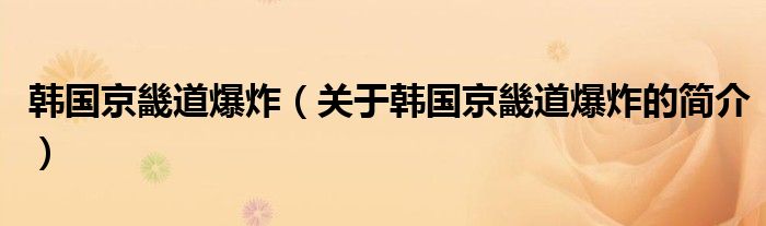 韓國京畿道爆炸（關(guān)于韓國京畿道爆炸的簡(jiǎn)介）