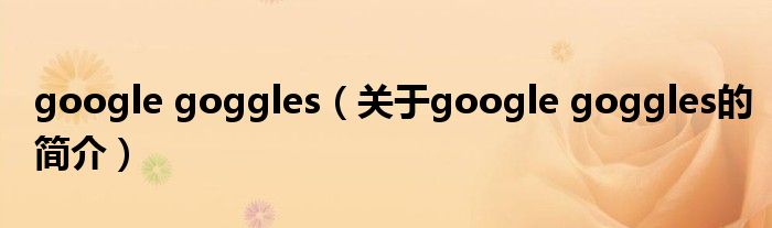 google goggles（關(guān)于google goggles的簡介）