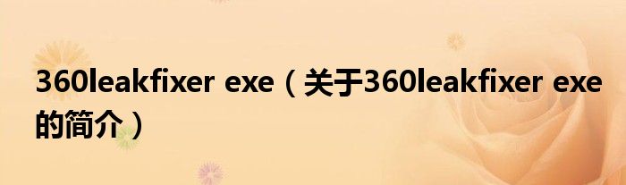 360leakfixer exe（關(guān)于360leakfixer exe的簡介）