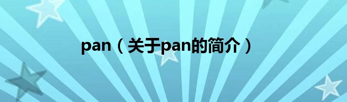 pan（關(guān)于pan的簡(jiǎn)介）